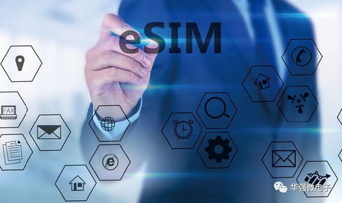 華強電子雜志1月2月合刊精彩搶鮮讀 網絡技術服務專題